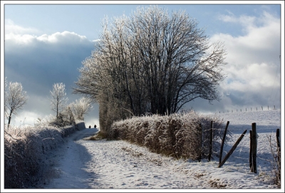 2010-01-04 / Beba
Par: Beba - [ Paysages ]
