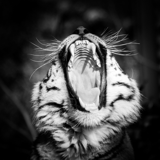 2015-05-16/galuchar
galuchar [ Zoo & parcs animaliers ]
