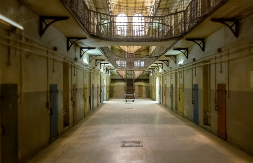 2015-07-18/neosilencers
neosilencers [ Studio & inclassables ]
