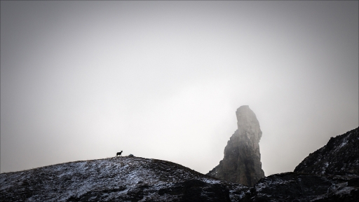 2016-01-12/pierrot73210
pierrot73210    [Paysages et elements naturels]
