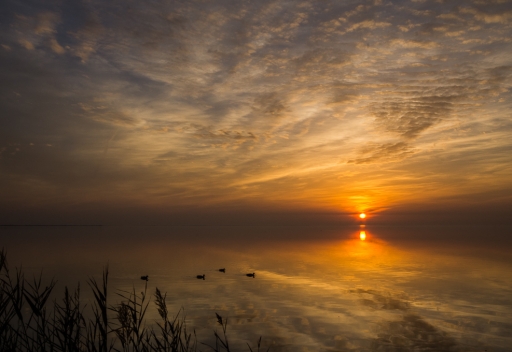 2016-01-13/step55
step55   [Paysages et elements naturels]
