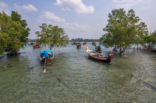 2016-02-28/olilignan
olilignan   "Oli en Thailande part 1: Les pecheurs de Koh Lanta"
