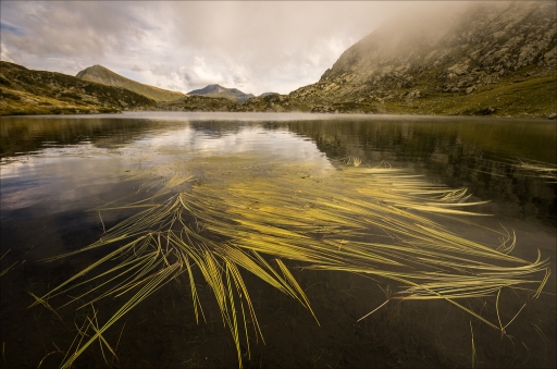 2016-04-06/pierrot73210
pierrot73210      [Paysages et elements naturels]
