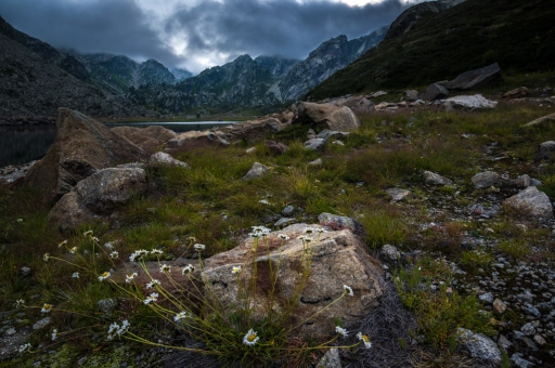 2016-08-16/Ludovic
Ludovic   [Vos series]Refuge d'En Beys - Forges d'Orlu - Jour (1)
