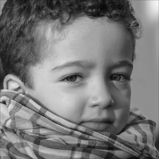 2015-08-18/Kobaia
Kobaia  [ Portraits de bebes et enfants ]
