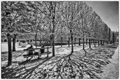 2016-05-08/FreD69
FreD69   [Paysages et elements naturels]
