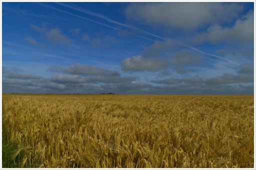 2015-07-14/FreD69
FreD69  [ Paysages ]
