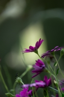 Nom du fichier=16051607301913410714232508.jpg
Taille du fichier=319Ko
Dimensions : 678x1024
Ajouté le : 17 Mai 2016 16051607301913410714232508.jpg