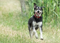 Nom du fichier=27433745151_2ff725f410_o.jpg
Taille du fichier=266Ko
Dimensions : 1024x736
Ajouté le : 07 Juin 2016 27433745151_2ff725f410_o.jpg