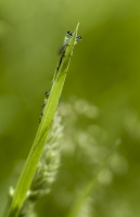 Nom du fichier=467789fsps3im22.jpg
Taille du fichier=274Ko
Dimensions : 664x1024
Ajouté le : 14 Juin 2016 467789fsps3im22.jpg