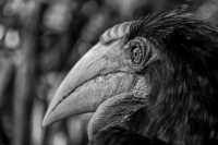 Nom du fichier=902975IMGP3749Modifier1a.jpg
Taille du fichier=307Ko
Dimensions : 1020x680
Ajouté le : 03 Août 2016 902975IMGP3749Modifier1a.jpg