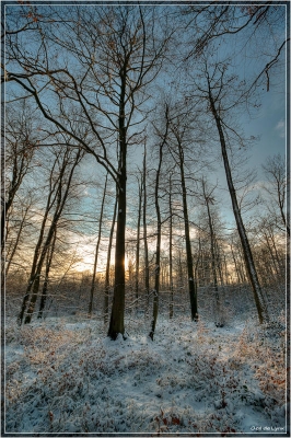 2009-12-30 / oeil de lynx
par: oeil de lynx  [ photographies HDR et DRI ]
