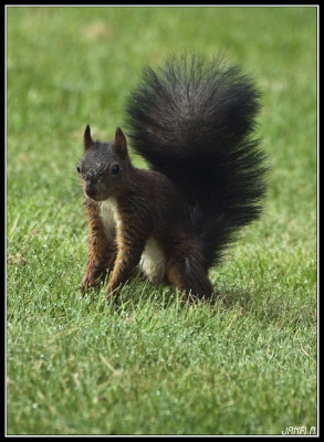 2010-10-02  / janfi.moyen
Par : janfi.moyen  serie  [ petite promenade dans mon jardin ]
