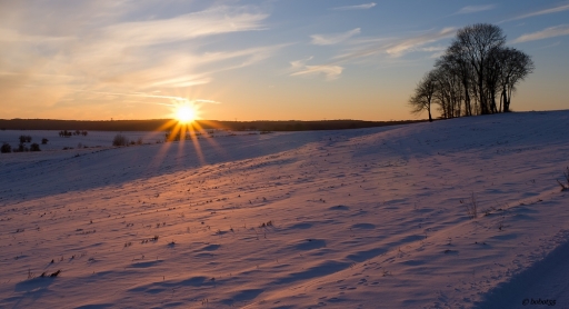 2010-12-31  /   bObOt55
Par:  bObOt55  - [ Coucher / Lever de soleil ] -
