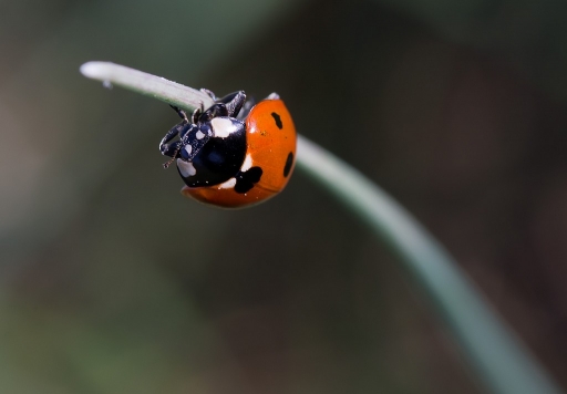 mars  2012  -  neosilencers
Mars  2012  -  neosilencers
