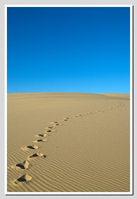 2010-03-09  /  rber44
par:  rber44 -[ paysages ]
