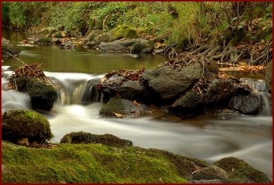 2009-11-25/scbruno
Par: scbruno-[Plans d'eau / Rivieres]
