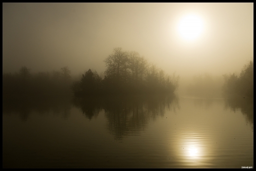 2011-11-22 / Zorus
Par: Zorus  -[ paysages ]-
