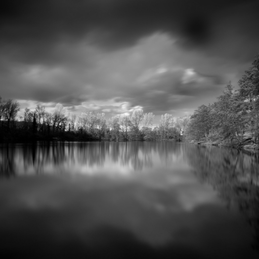 2011 / 05 / 15    gilles26
Par:  gilles26  - [ Noir et Blanc, Sepia et Desaturation partielle ] -
