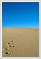 Nom du fichier=4414080092_d3e4878539_o.jpg
Taille du fichier=162Ko
Dimensions : 552x800
Ajouté le : 08 Mars 2010 4414080092_d3e4878539_o.jpg