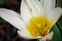 Nom du fichier=O8sAJhSUqHIl9Pe.jpg
Taille du fichier=115Ko
Dimensions : 800x532
Ajouté le : 20 Mars 2010 O8sAJhSUqHIl9Pe.jpg