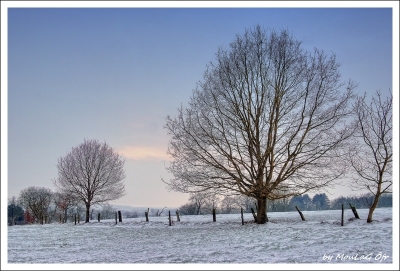 2010-01-17 / MoulaG Ofr
Par: MoulaG Ofr - [ Photographies HDR et DRI ]
