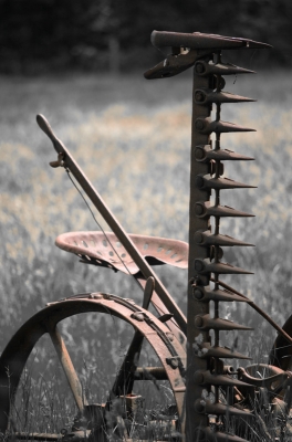2010-06-12 / toitoine
Par: toitoine - [ Noir et Blanc, Sepia et desaturation partielle ]
