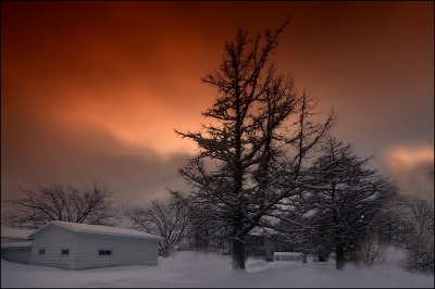 2010-02-03 / Pixel
Par Pixel - [Neige, Givre]
