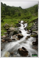 Nom du fichier=091228071016484835139440.jpg
Taille du fichier=184Ko
Dimensions : 477x700
Ajouté le : 28 Décembre 2009 091228071016484835139440.jpg