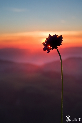 2012-08-07 / NeroPsylo
NeroPsylo - dans Vos Series [ Ambiance Montagne avec un gars de la Yaute ! ]
