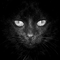 Nom du fichier=9853_22_06_14_9_15_58.jpg
Taille du fichier=297Ko
Dimensions : 1024x1024
Ajouté le : 20 Juillet 2014 9853_22_06_14_9_15_58.jpg