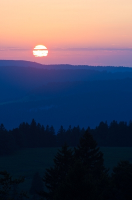 2010-08-31 / Micoulou
Par : Micoulou - [ P1 en montagne - 2010 - Partage commun ]
