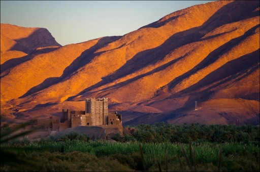 2011-02-15 / Pelelo
par: Pelelo (Vos series)
