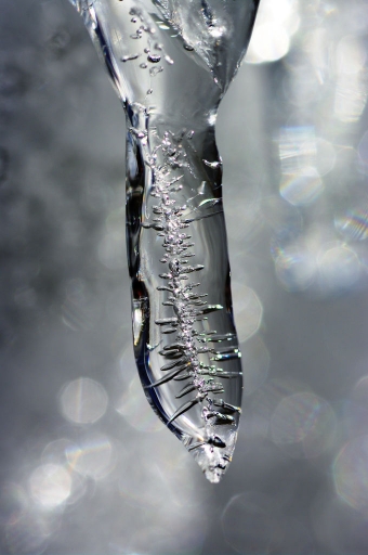 2012-02-24 / pamadu
Par pamadu dans  [ Neige, givre ]
