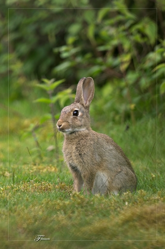 Juillet 2012 -  deche
Juillet 2012 -  deche
