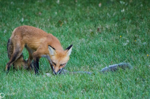Septembre 2012 - polluar
Septembre 2012 - polluar
