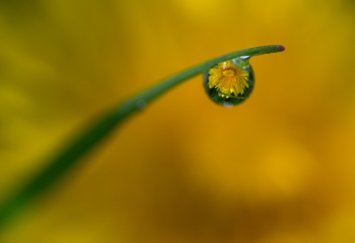 2013-04-17 / neosilencers
neosilencers [ Gouttes ]
