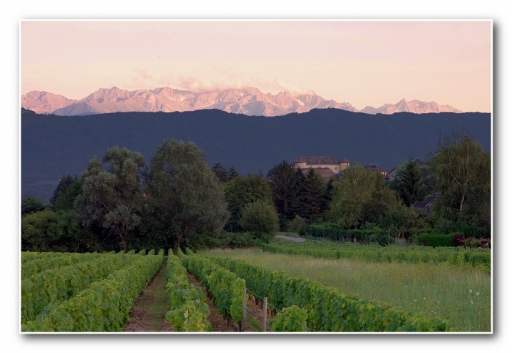 Janvier 2012 - Edamuas
Janvier 2012 - Edamuas
