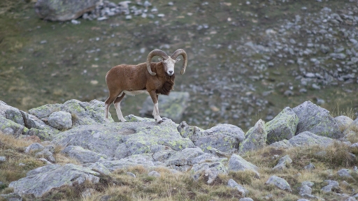 Octobre 2012 - jp49
Octobre 2012 - jp49
