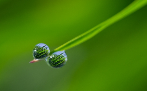 2013-04-15 / neosilencers
neosilencers [ Gouttes ]
