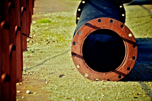 2011-03-20 / Marceline
Par Marceline - [ serie Trentemoult , cote friche ]
