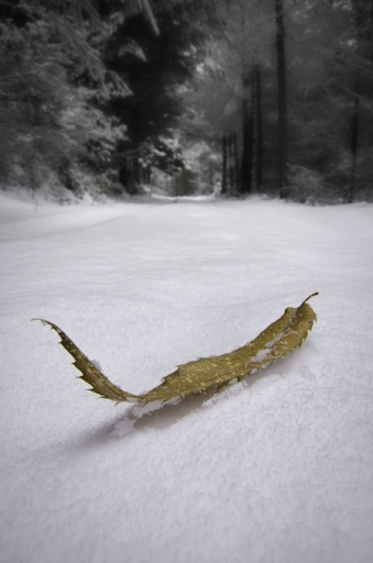 Avril 2012 - Dr Orloff
Avril 2012 - Dr Orloff
