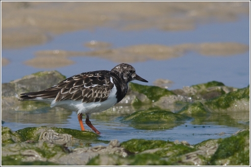 Avril 2012 - Poupa_78
Avril 2012 - Poupa_78
