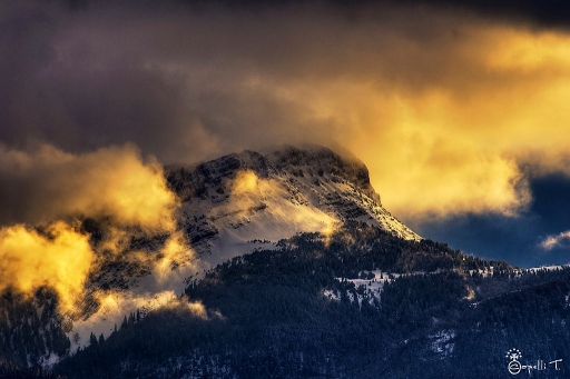 Janvier 2012 - Nero
Janvier 2012 - Nero
