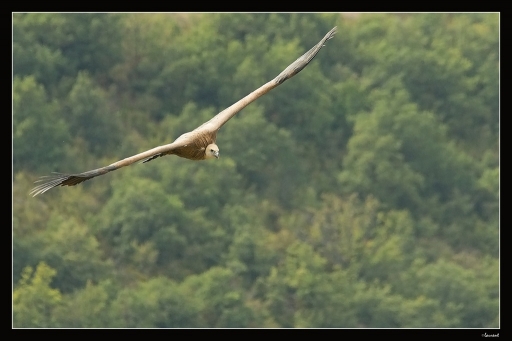 Septembre 2012 - lolo26
Septembre 2012 - lolo26
