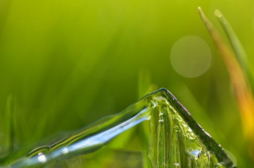 Janvier 2012 - Marceline dans Paysages glaciaires imaginaires ...
Janvier 2012 - Marceline
