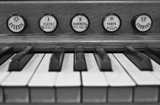 2012-11-11 / Chamcham
Par chamcham dans [ Noir et Blanc, Sepia et desaturation partielle ]
