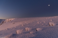 Nom du fichier=12012012imgp1702.jpg
Taille du fichier=123Ko
Dimensions : 800x530
Ajouté le : 25 Janvier 2012 12012012imgp1702.jpg