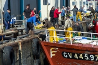 Nom du fichier=130620053115690951.jpg
Taille du fichier=310Ko
Dimensions : 1024x678
Ajouté le : 03 Juillet 2013 130620053115690951.jpg