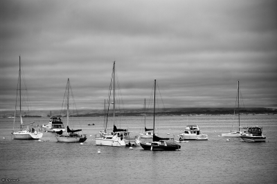 2010-10-15 - Madod
Par : Madod - [Noir et Blanc, Sepia et desaturation partielle]
